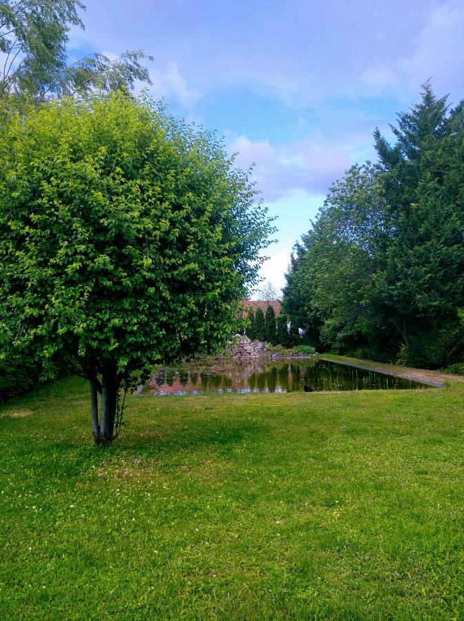 Vadvirag Panzio Hotel Ágfalva Buitenkant foto